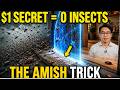 The $1 Amish Doorway Trick That Keeps Bugs Out Naturally