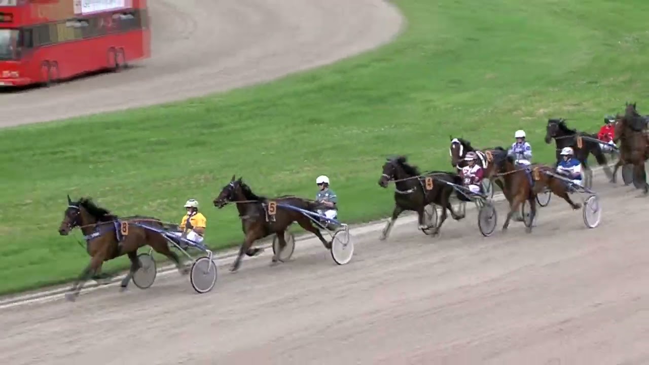 Traber Amel Start am 01.05.2024 in Gelsenkirchen ( 4.Platz )