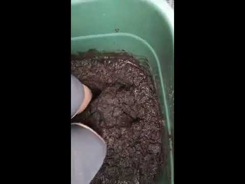-Mud Pit 1 - stomping manure - Mist stampfen