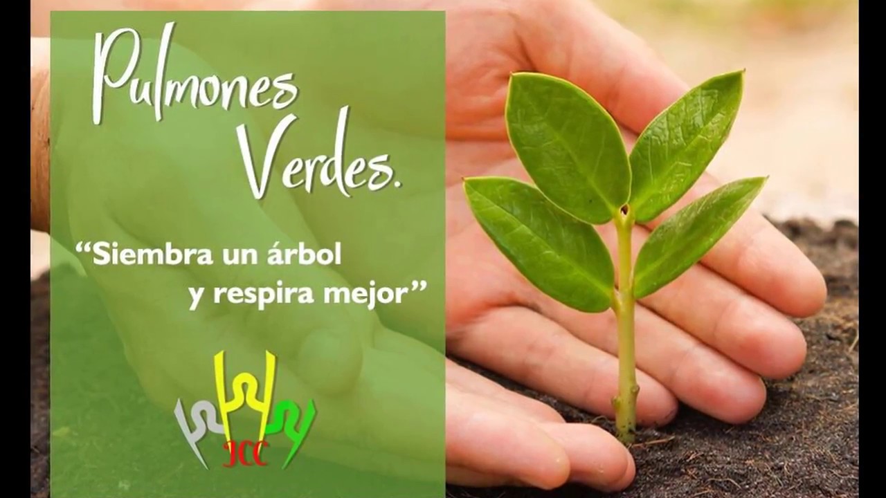 PULMONES VERDES