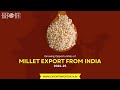 Growing Opportunities of Millet Export from India: 2024-25