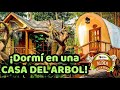 Pasé la NOCHE en una CASA DEL ÁRBOL en medio de LA SELVA | Aldea la Selva IRTRA | Club Mil Palmeras