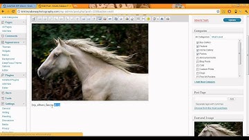 WordPress eStore Plugin Tutorial