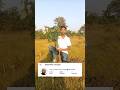 @tag apj abdul kalam sir ke nam se ek tree 🌳 #playstation #trending #plants #viralshort #viralreels
