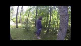 Freestylesports ~ Parkour/Freerunning  Edit