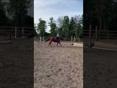 Me And Rubys Lesson Plzzzz Like