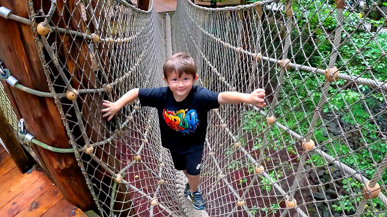 Riddick Gets Scared Climbing This Swinging Rope Bridge over the forest ...