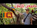 باخچەی ئاژەڵان دەبێ ئاوا بێ گەورەترینە لە سریلانکا باخچەی ئاژەڵان دەبێ ئاوا بێ گەورەترینە لە سریلانکا