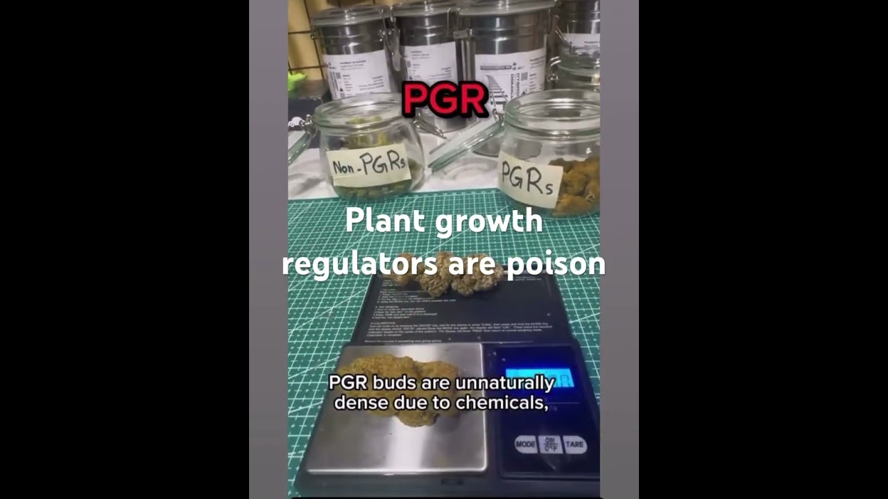PGRs are used in most dispos. Grow your own!!