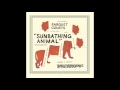 PARQUET COURTS - SUNBATHING ANIMAL [FULL ALBUM]