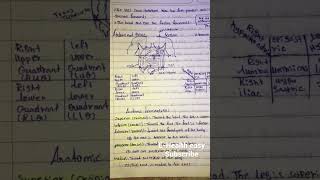 #shorts Regional anatomy #cursive_handwriting_practice #registerednurse