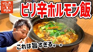 ステーキ屋の枠を超えてしまった限定メニュー！ホルモンどっさり四川麻婆飯が飛び抜けて旨かった！【ステーキタケル】