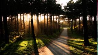 Abendgedanken - S.frick