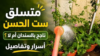 متسلق ست الحسن ينجح بالسندان ام لا ؟ تفاصيل مهمه 