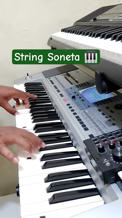 String Soneta 🎹 #shortsyoutube #shortvideo #shorts