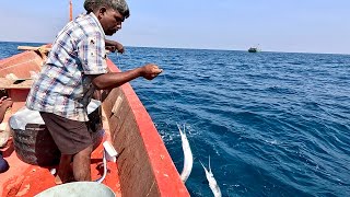 Fishing in the Deep Sea #fishing #fishingvideo #seafishing