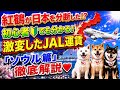 チョット待ってよ✋Good-Byeソウル発<激変した運賃をぜ~んぶ教えます!> 『JAL ソウル発💘日本行き』徹底解説♪