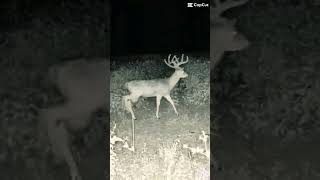 Summer scouting is about to get started and I am SO ready to be back in the woods. #bowhunting