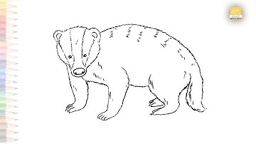 Badger drawing 02 | Easy animal drawing videos | Draw A Badger step by step | art tutorials