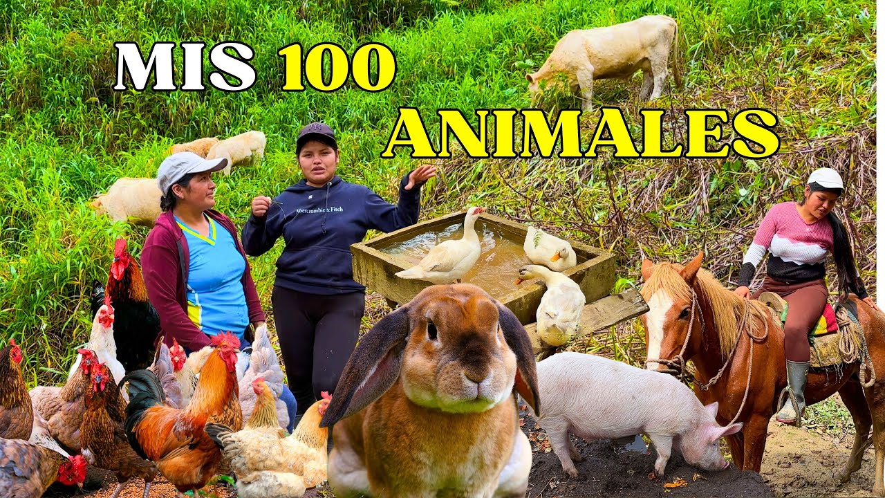 Estos son todos los animales que tenemos en nuestra finca - NATHALIA