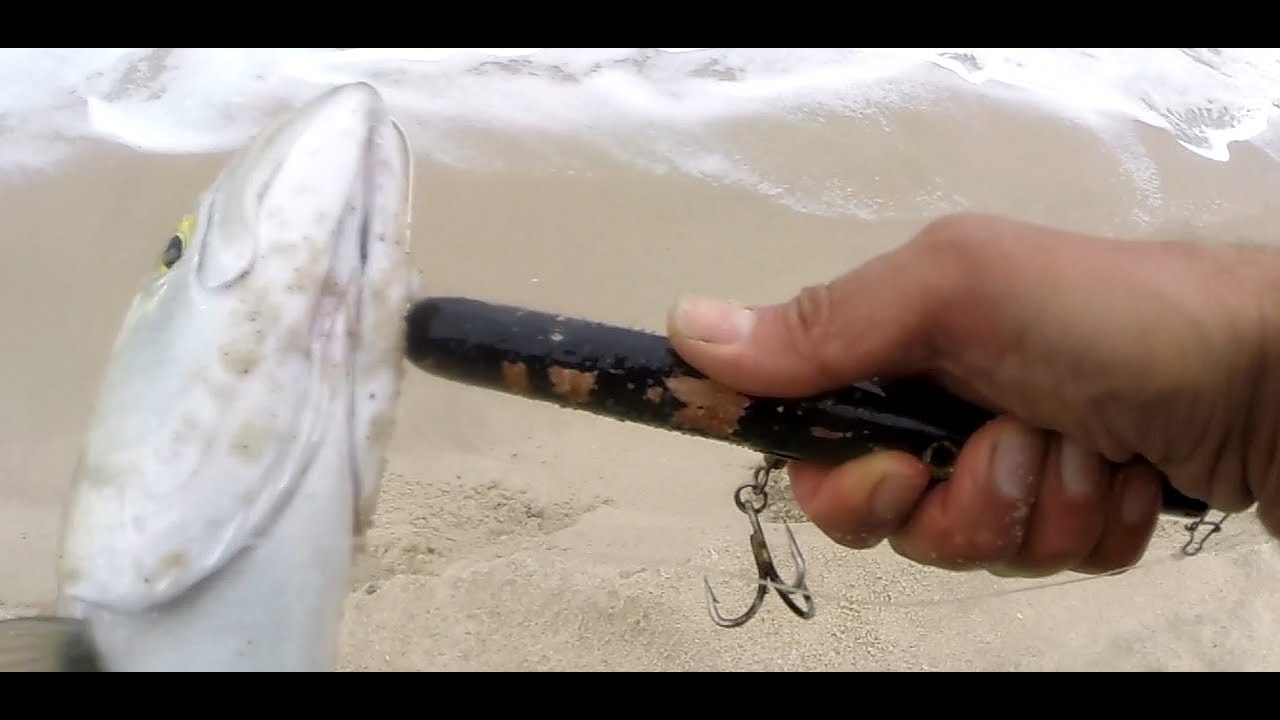 Beach Surf Fishing - The DIAMOND JIG vs Needle Fish For Blue Fish