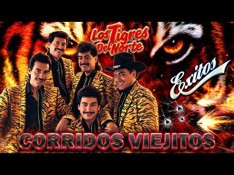 Los Tigres Del Norte Mix Especial - Puras Norteñas Inolvidables Para Tomar Toda La Noche