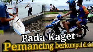 Pemancing pada Pesta strike, ikan bubara menari-nari di pinggir pantai || kotamara beach