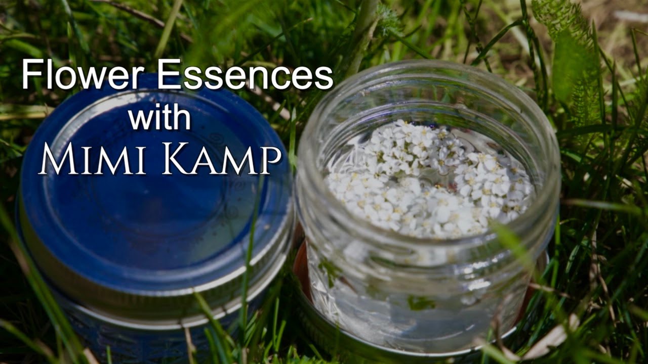 Making Flower Essences with Mimi Kamp