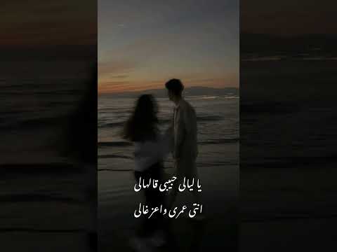 يا ليالى حبيبى قالهالى