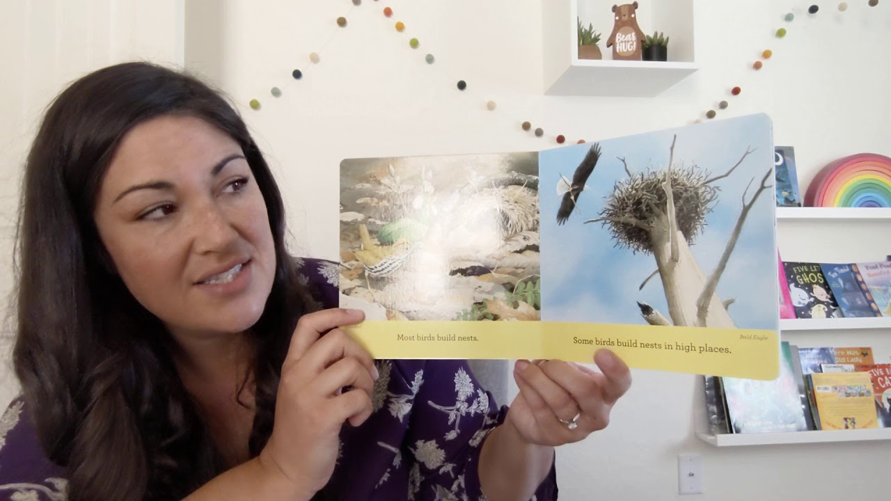 Interactive Read Aloud: Curious About Birds by Cathryn Sill - YouTube