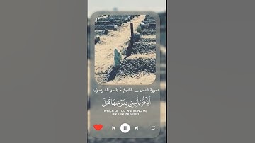 سورة النمل الشيخ الدوسري #اكسبلور #الجزائر #السعودية #المغرب #مصر #قرءان #قرءان_كريم #راحة_نفسية
