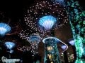 Gardens by the Bay - световое шоу в парке Стрекозы Сингапур