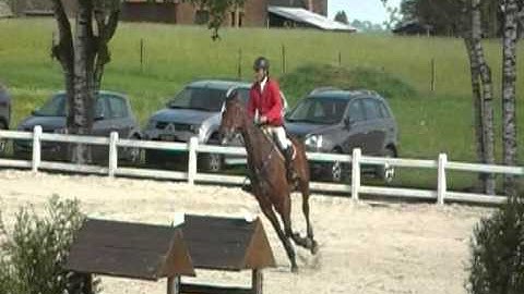 Ultra van Pottelberg Cyclus 7 years Gesves