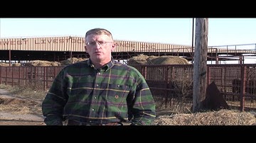 Rick Machen - BQA - Value of Cull Animals