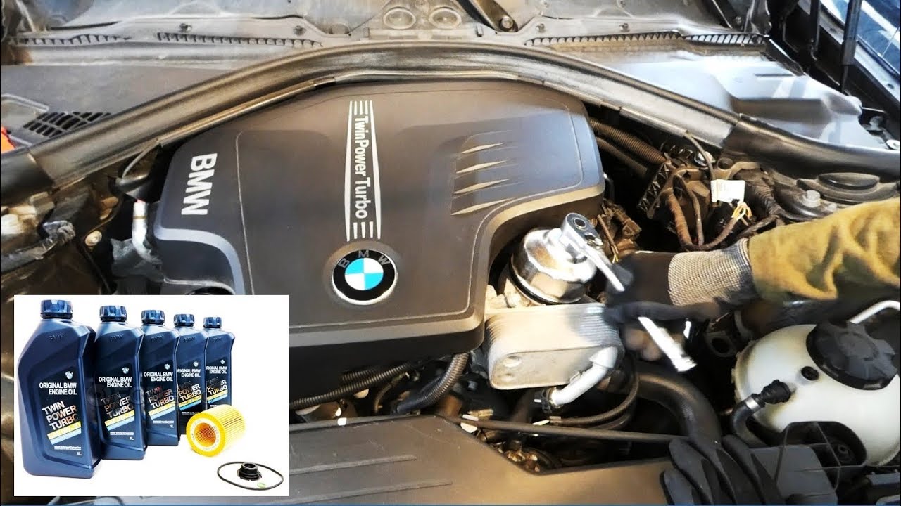 BMW f30 320i двигатель. Моторное масло в БМВ f30 320i. BMW f30 320d масло в двигатель оригинал. BMW 320i 2018 фильтр дизеля. Масло бмв 320i