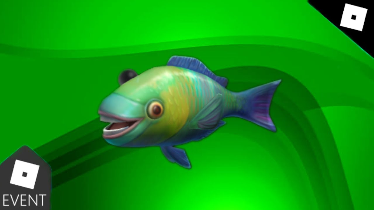 How To Get PARROT FISHFACE FREE ACCESSORY YouTube how-to-get-parrot-fishface-free-accessory-youtube