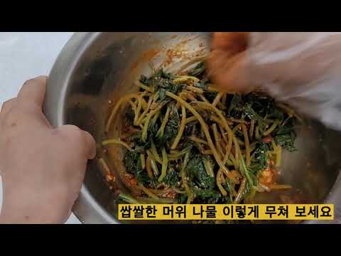 🍚쌉쌀한 <strong>머위</strong> 나물 이렇게 무쳐 보세요