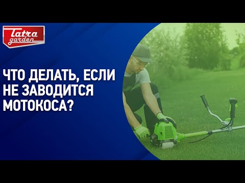 Что делать, если не заводится мотокоса?