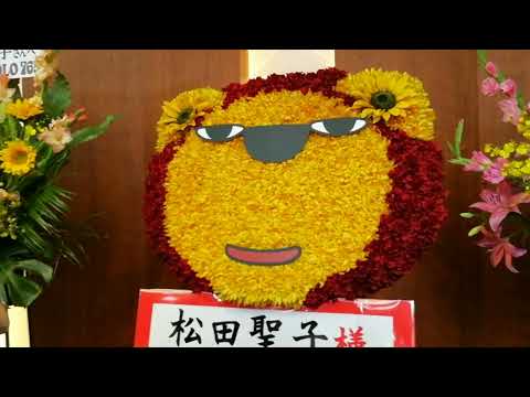 松田聖子コンサート2023【Parade】大阪城ホールにて　お祝い花　2023.6.25㈰　自然音　ホールの様子！　フラワースタンド🌻
