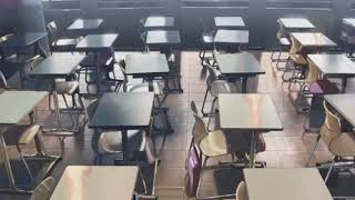 Squid Ethic: Alone