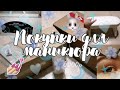 🐰|Покупки для маникюра Willdberreis|на 6000 рублей| 1000 подписчиков!|🐰