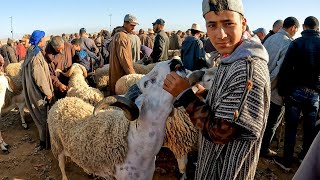 ثمن حولي العيد من سوق تلاث بن جرير اقليم الرحامنة بتاريخ 28/06/2022