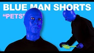 Ultimate Fly Swatter from Blue Man Group | BLUE MAN SHORTS | Short Comedy Film