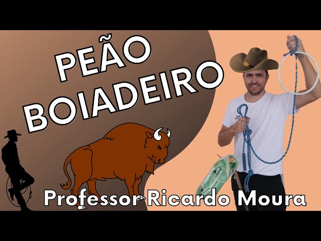 67 ideias de Peao de boiadeiro