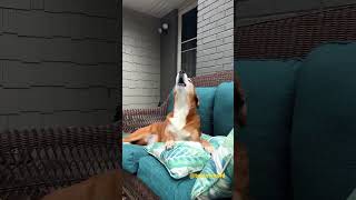 See you in the Garden Center…….#gardencenter #spring #tastinggold #growyourownfood #zachgolden