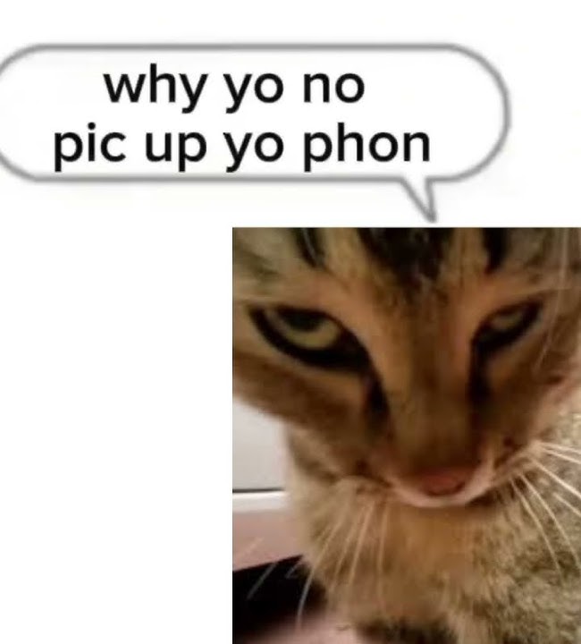 Set this as a ringtone lmao