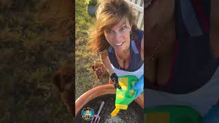 Gardening Day With Mary Burke