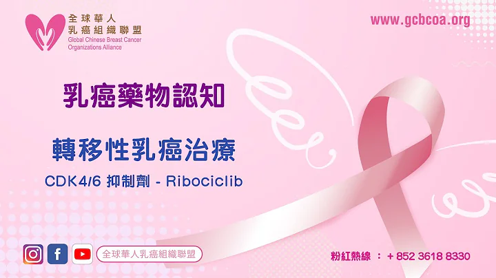 ❝乳癌药物认知 7❞ 转移性乳癌治疗 - CDK4/6 抑制剂- Ribociclib - 天天要闻