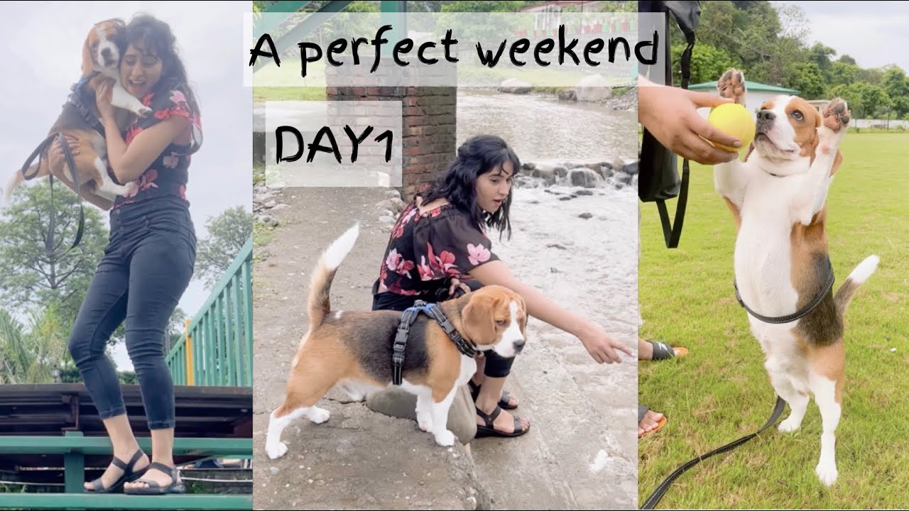 Original Title & Thumbnail