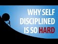 Why Self-Discipline is so Hard (Animated Story)